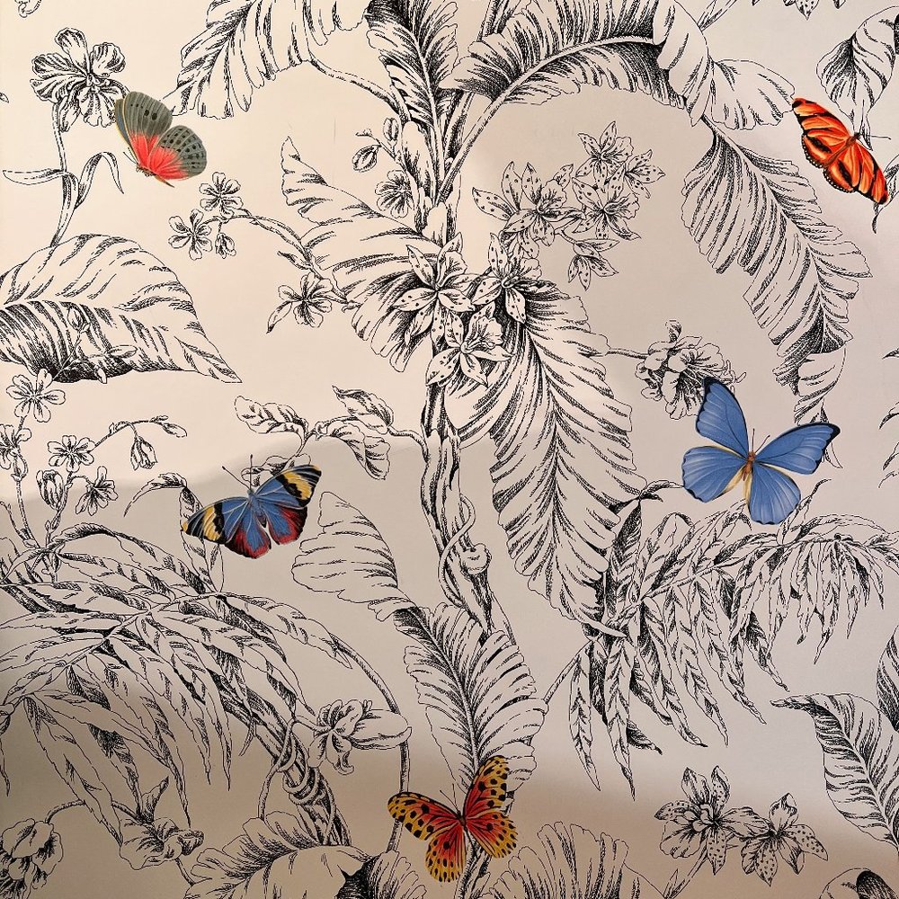 Papillon Wallpaper by York Wallcoverings in Black & White
